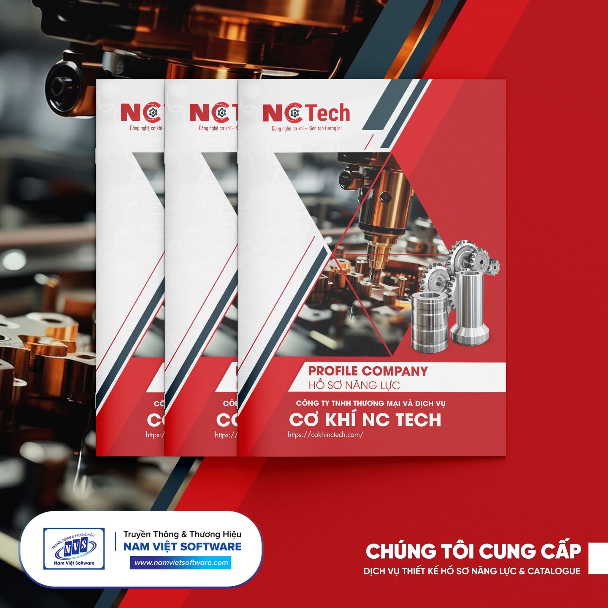 Mẫu hồ sơ năng lực công ty chuyên nghiệp