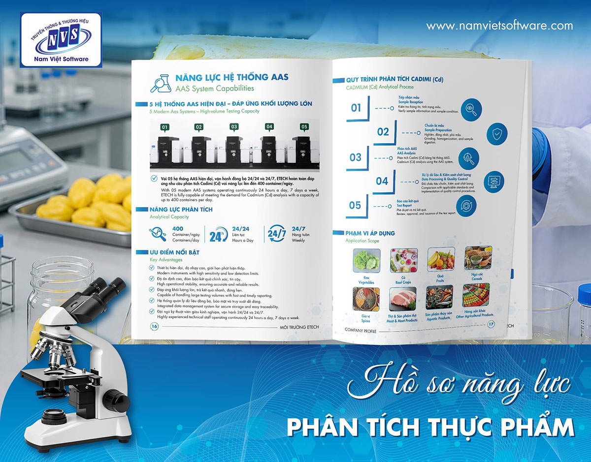 Bố cục hồ sơ năng lực tối ưu, hiện đại